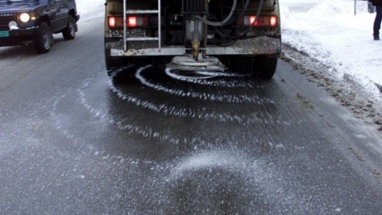 The Environmental Issues Surrounding the Salting And Building Of Roads
